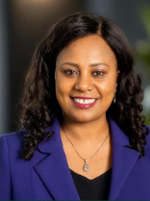 Prof. Hirut Woldemariam Teketel